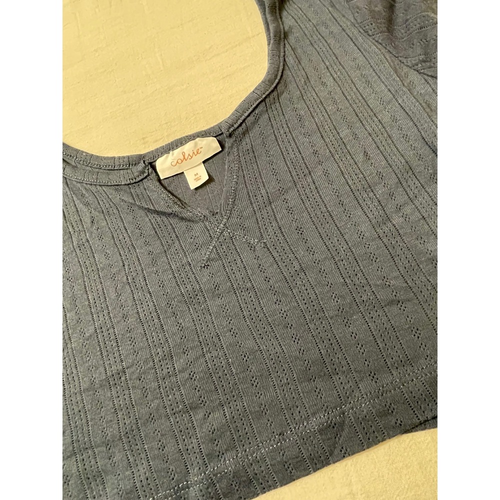Colsie Womens Medium Blue Cropped Top Ribbed Knit Short Sleeve V-Neck Casual